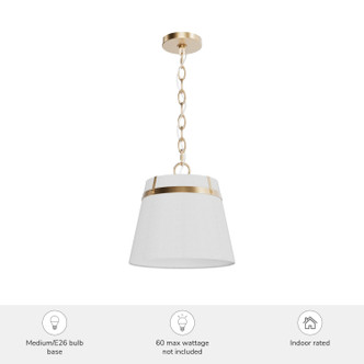 Ada Lee One Light Pendant (48162)