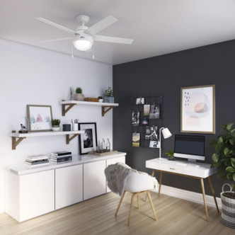 Anslee 52" Ceiling Fan (50231)