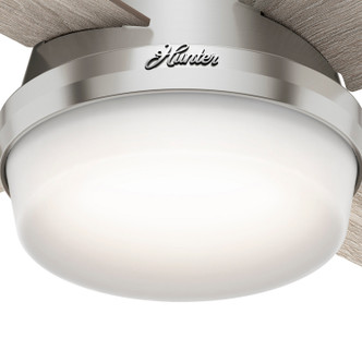 Dempsey 44" Ceiling Fan (50282)