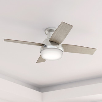 Dempsey 44" Ceiling Fan (50282)