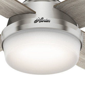 Dempsey 52" Ceiling Fan (50284)