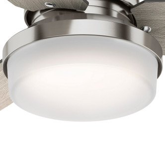 Sentinel 44" Ceiling Fan (50394)
