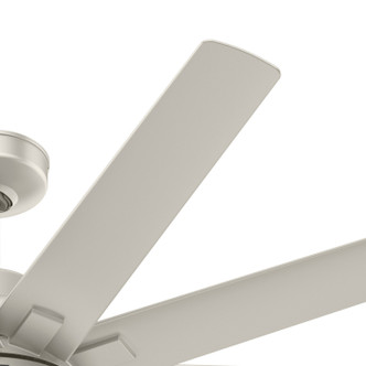Overton 60" Ceiling Fan (50719)
