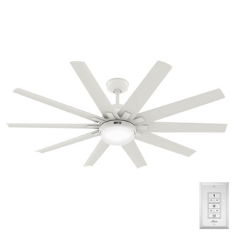 Overton 60" Ceiling Fan (50720)