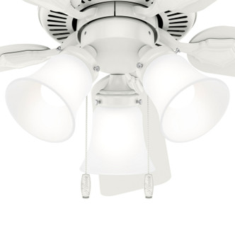 Swanson 44" Ceiling Fan (50885)