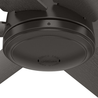 Jetty 52" Ceiling Fan (51203)
