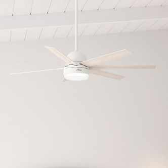 Phenomenon 60" Ceiling Fan (51375)