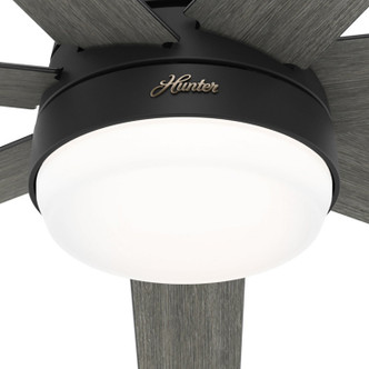 Phenomenon 70" Ceiling Fan (51379)