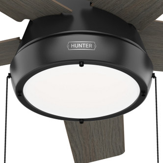 Burroughs 44" Ceiling Fan (51385)