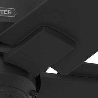 Terrace Cove 44" Ceiling Fan (51581)