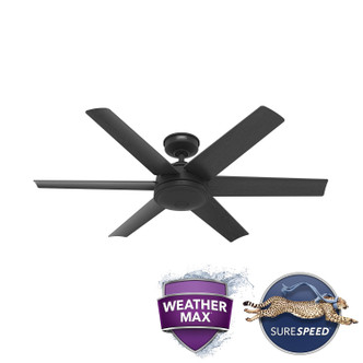 Jetty 52" Ceiling Fan (51731)