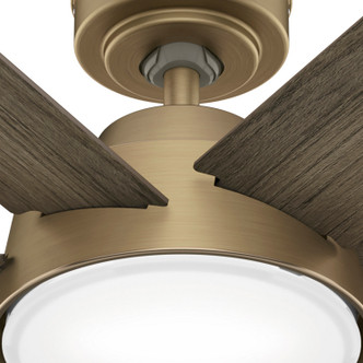 Donatella 52" Ceiling Fan (51852)