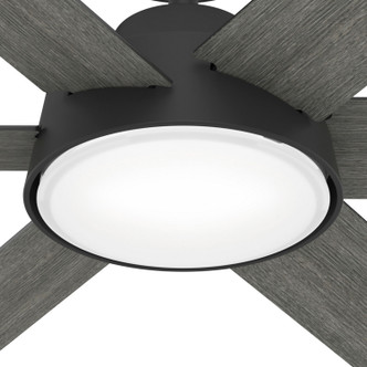 Donatella 52" Ceiling Fan (51853)