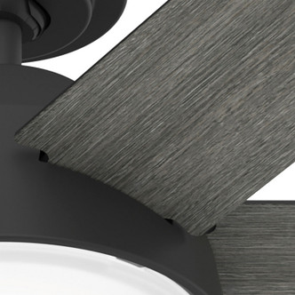 Donatella 52" Ceiling Fan (51853)