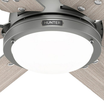 Gravity 72" Ceiling Fan (51884)