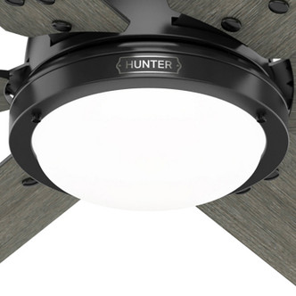 Gravity 60" Ceiling Fan (51951)