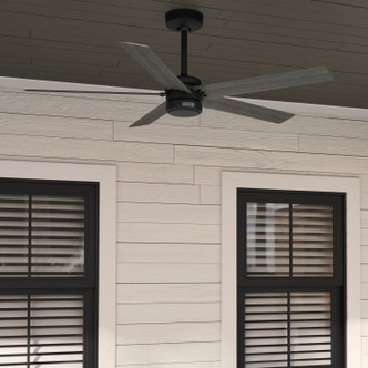 Burton 52" Ceiling Fan (52247)