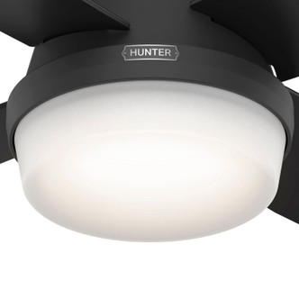 Dempsey 52" Ceiling Fan (52388)