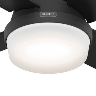 Dempsey 44" Ceiling Fan (52390)