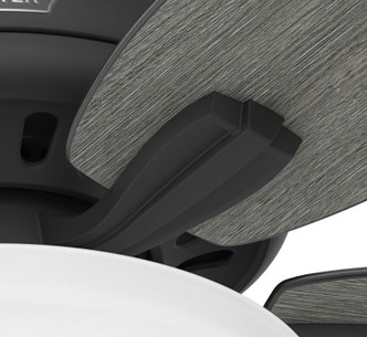 Newsome 52" Ceiling Fan (52395)