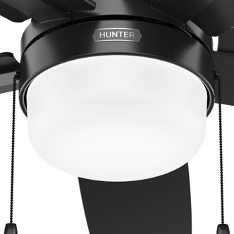 Anisten 52" Ceiling Fan (52485)