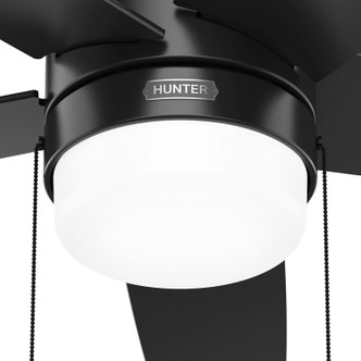 Bardot 52" Ceiling Fan (52491)