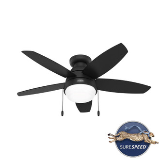 Lilliana 44" Ceiling Fan (52613)
