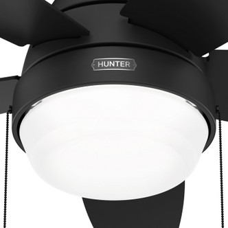 Lilliana 44" Ceiling Fan (52613)