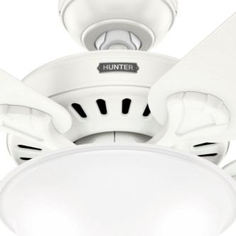 Pro's Best 52" Ceiling Fan (52727)