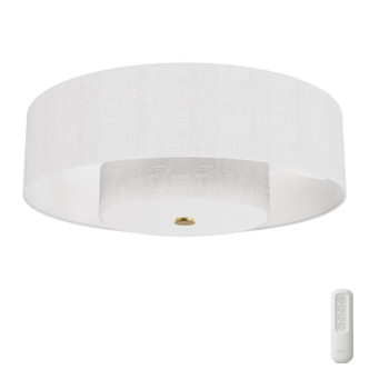 Brookside 30" Ceiling Fan (52974)