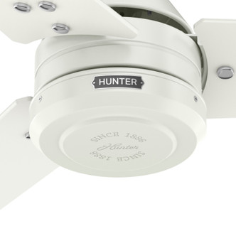 Cassius 60" Ceiling Fan (52980)