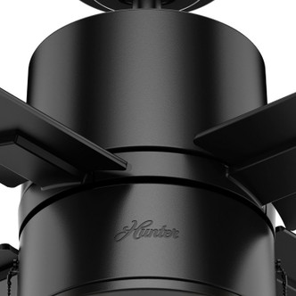Beck 42" Ceiling Fan (53433)