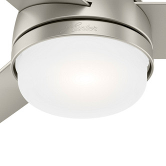 Midtown 48" Ceiling Fan (54212)