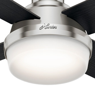 Dempsey 44" Ceiling Fan (59243)