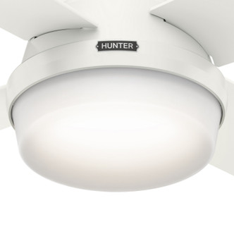 Dempsey 44" Ceiling Fan (59244)