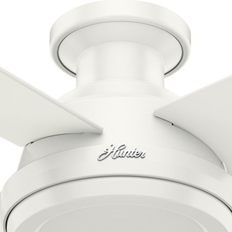 Dempsey 52" Ceiling Fan (59248)