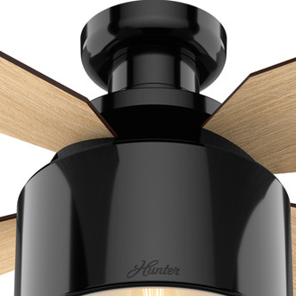 Cranbrook 52" Ceiling Fan (59259)