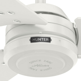 Cassius 52" Ceiling Fan (59263)