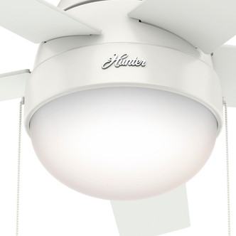 Anslee 46" Ceiling Fan (59266)