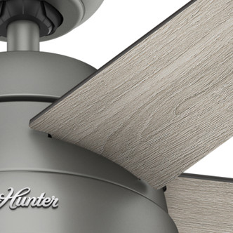 Anslee 46" Ceiling Fan (59267)