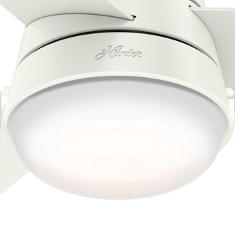 Aker 36" Ceiling Fan (59301)