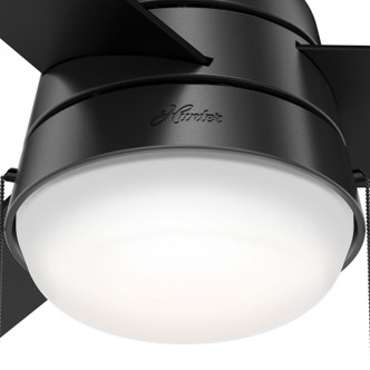 Aker 36" Ceiling Fan (59302)