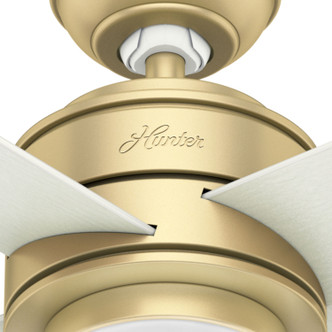 Hepburn 52" Ceiling Fan (59320)