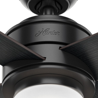Hepburn 52" Ceiling Fan (59321)