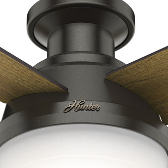 Dempsey 52" Ceiling Fan (59447)