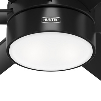 Solaria 60" Ceiling Fan (59624)
