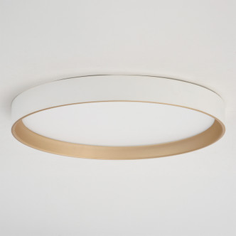 Darien LED Flush Mount (C0382)