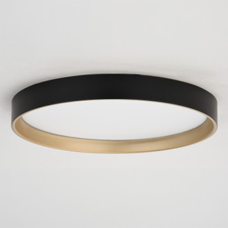 Darien LED Flush Mount (C0383)