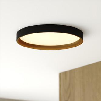Darien LED Flush Mount (C0383)