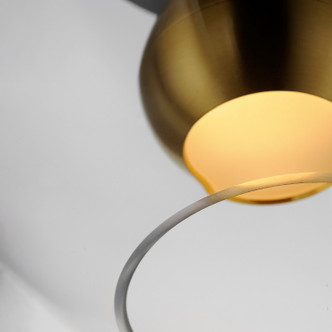 Nucleus LED Flush Mount (E25150-BKNAB)